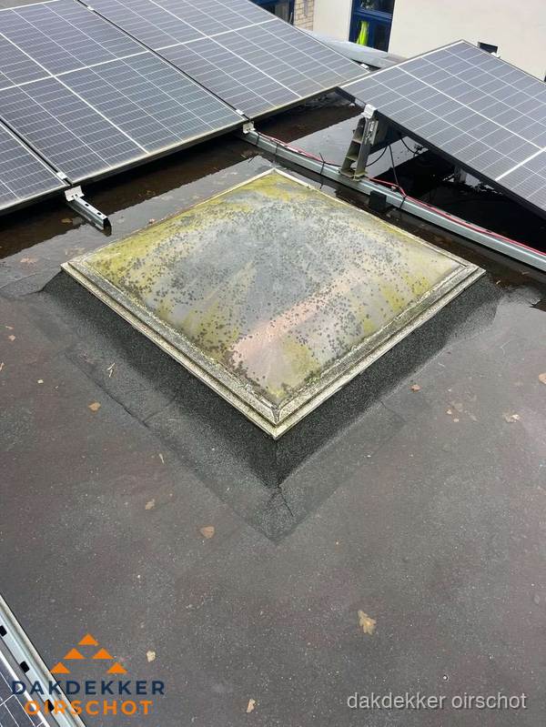 Vervuilde lichtkoepel op plat dak met zonnepanelen in Oirschot Vervuilde lichtkoepel op plat dak met zonnepanelen in Oirschot